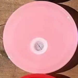 Lids 16oz & 20oz Compatible - Image 15